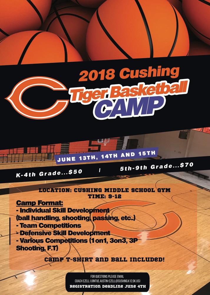 Tiger Basketball Camp